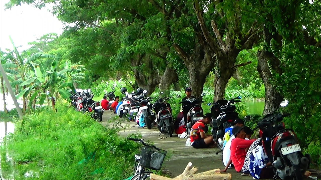 Sensasi mendebarkan banyak orang,, Ikan lele disungai ini monster² dan ikan masnya juga besar besar