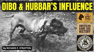 The Story Of Tudors Dibo & Hubbard Pitbull Foundations Of The Real Apbt Game Dog History