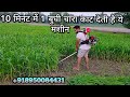 चारा,धान,गेहूं,बाजरा,जिरी,धनिया,जो, चना 8950084431 kaatne ki machine brush cutter 8950084431