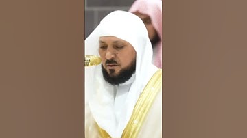 تلاوة رائعة لحافظ المقيلي بصوت جميل #alharam #المسجدالحرام #حالات_واتس #اكسبلور