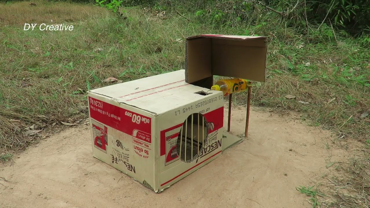 New Creative Trap! Amazing Pigeon Trap Make From Cardboard Box & ICHITAN Bottle