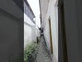 Joint Venture Opportunity in Victoria Island | 1900sqm on Tiamiyu Savage | Lagos CofO