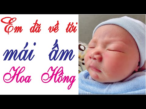 Video Bé trai tại Bệnh viện Hùng Vương đã về tới mái ấm Hoa... - youtube