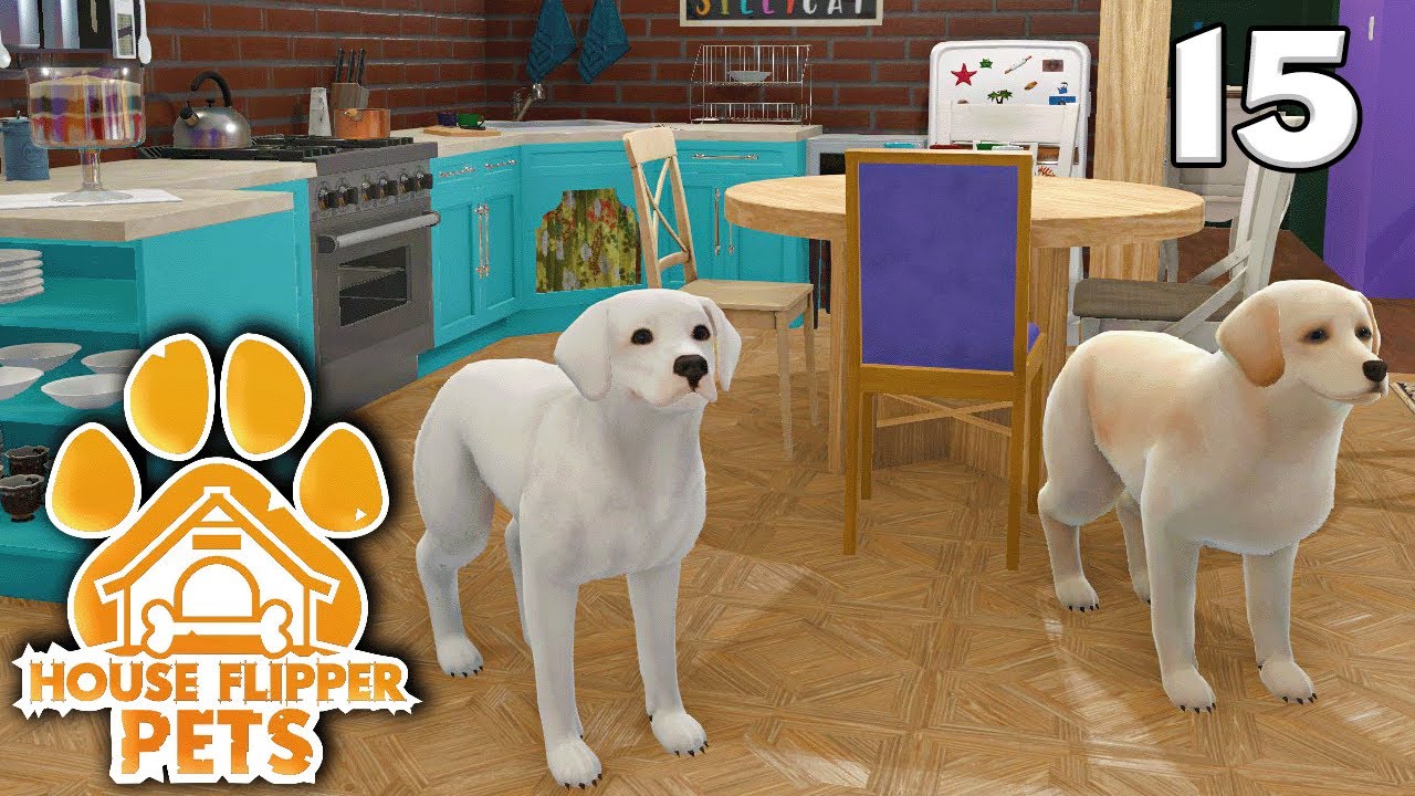 House Flipper Pets Ep 15 Cleaning Apartments With Pups YouTube House Flipper Pets Ep 15 Cleaning Apartments With Pups YouTube