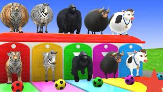 3D Animal Race Simulation on Color Track| 3D-Tier-Rennsimulation auf einer Farbspur screenshot 3