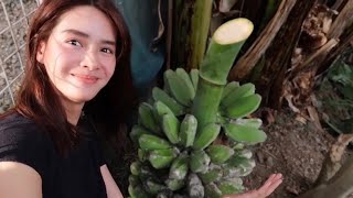 Backyard Harvest | Erich Gonzales