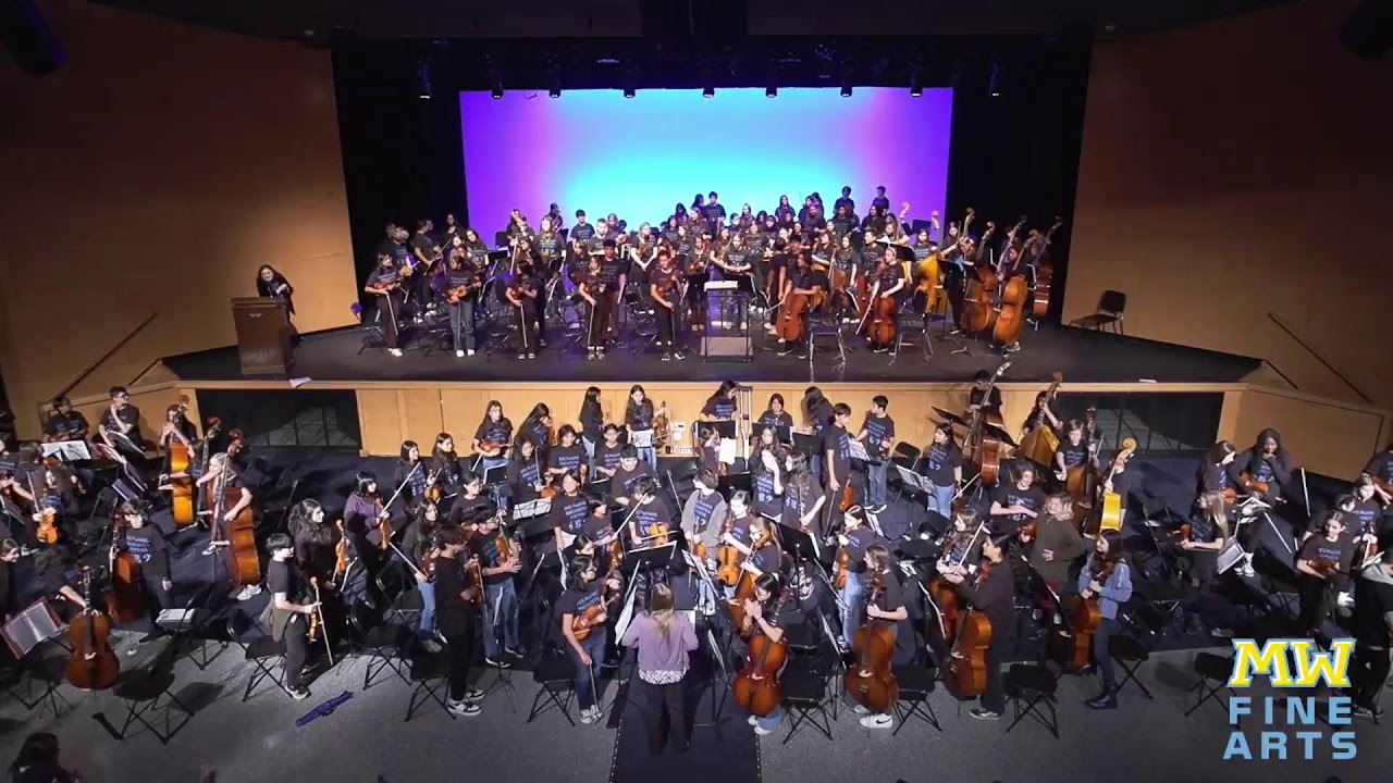 Des Plaines Orchestra Festival 2024 YouTube