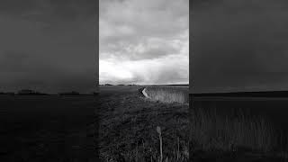 Camp Snap V103B - B&W filter