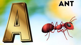 ABC Phonics Song - Toddler Learning Video Songs , A for Apple , Nursery Rhymes , Alphabet song