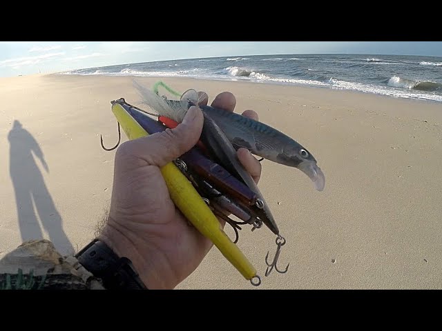 The TOP #5 BEST - STRIPED BASS & BLUEFISH FALL - SURF FISHING LURES for  2020 