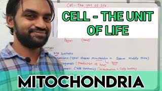 Cell - The Unit of Life | Mitochondria