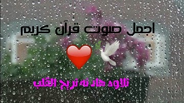 اجمل صوت قرآن كريم //حالات واتس اب قران // اية قرانية تريح القلب ❤🎧 // مقاطع انستكرام قصيرة "