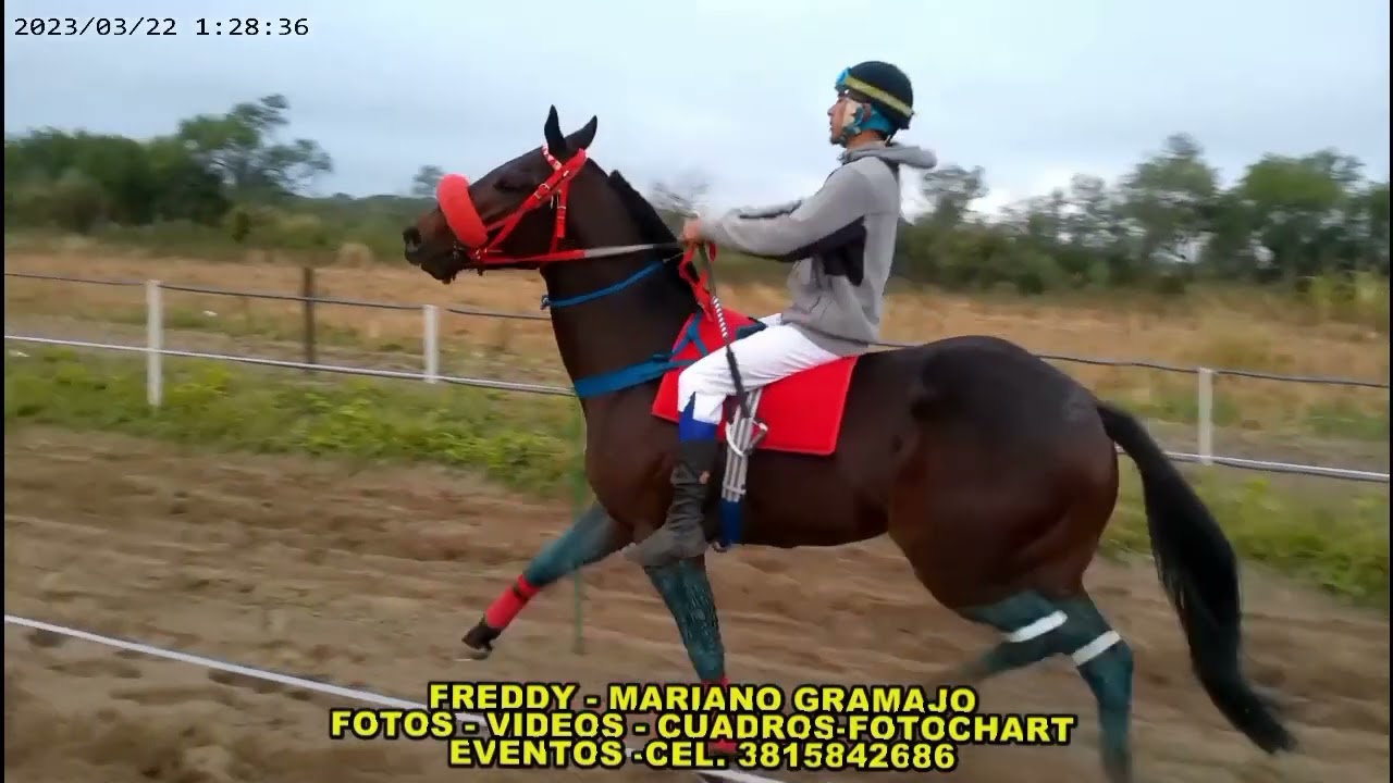 Hípico El Monumental (Don José - Sin Festejo - Cara Blanca) Parte 1