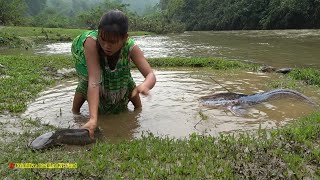 Unique hand fishing catch fish in rainy season - Primitive life find fish for survival