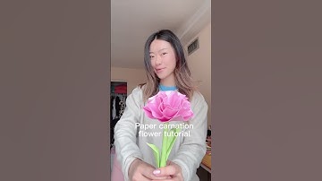 Paper carnation flower tutorial 🌺