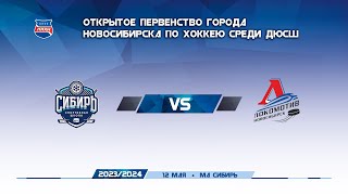 Сибирь 2012 - Локомотив 2011