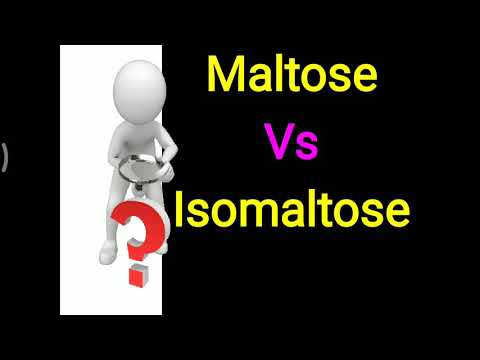Vidéo: Différence Entre Le Maltose Et L'isomaltose