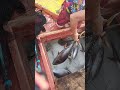 tuna ang nahuli ni idol kiven, #fishingvideo