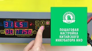 Настройка китайского инкубатора HHD на 48 яиц. Инкубация куриных яиц. Инкубация перепелиных яиц.