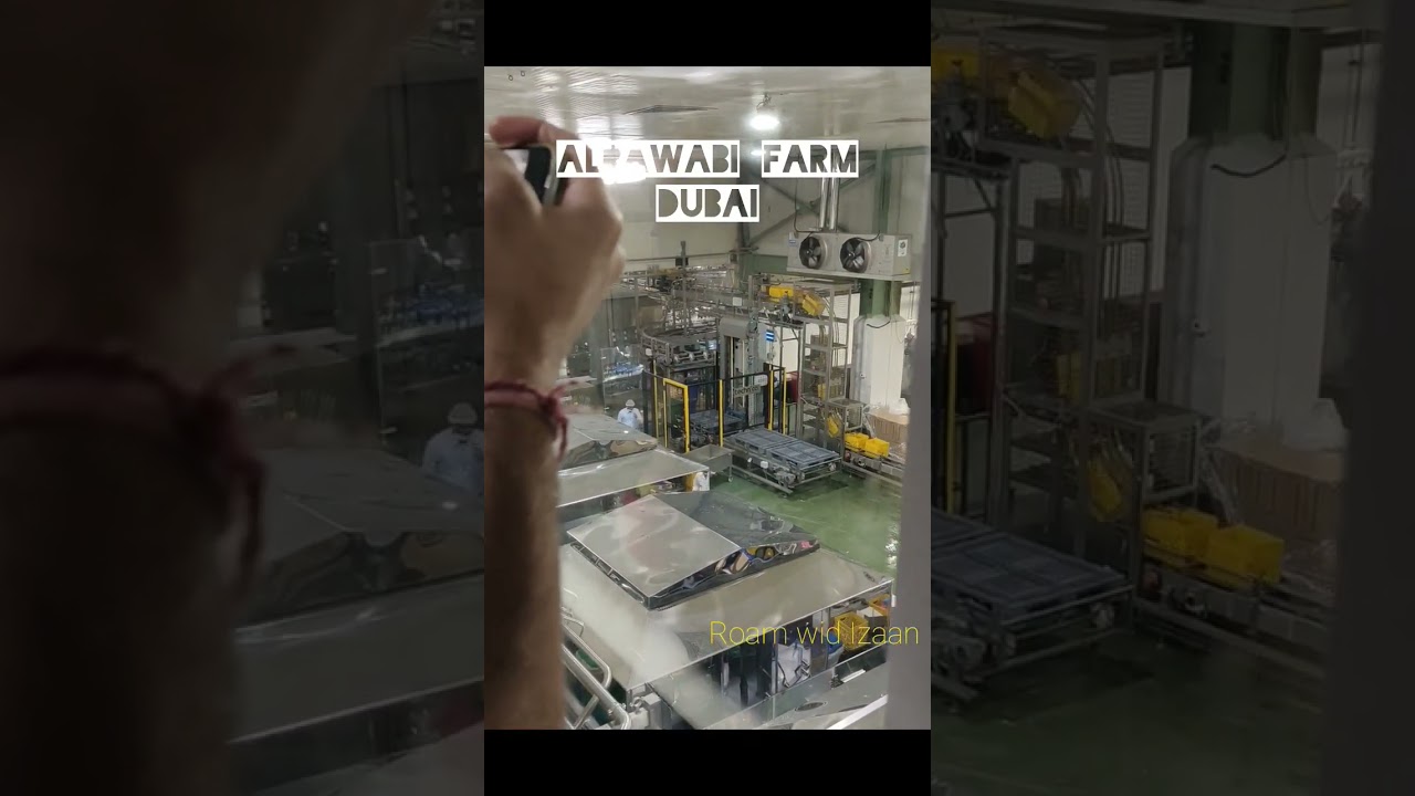 AlRawabi | Milk Farm | Dubai | UAE |Support | Subscribe