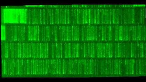 DNA Curtain On Nano Barrier