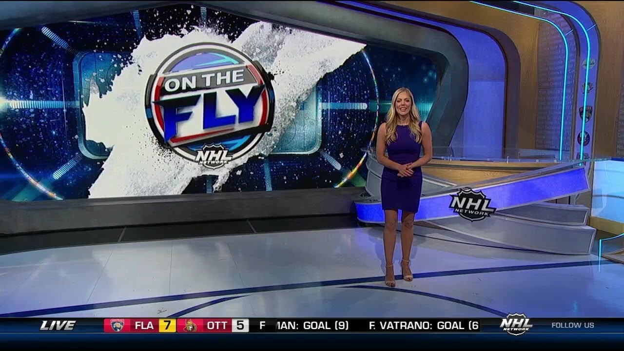 nhl on the fly
