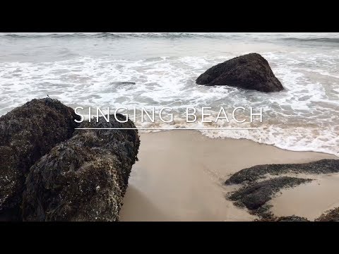 Singing Beach | Manchester by the Sea, MA