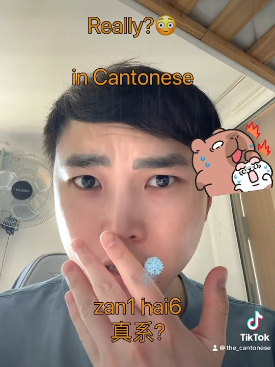 how-to-say-really-in-cantonese-cantonese-fyp-chinese-viral
