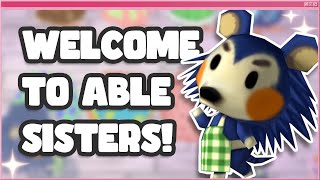 Animal Crossing (GameCube): Crafting My DREAM Fits! (Stream)