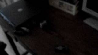 MOV01316