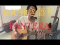 「PANTERA」BlankeyJetCity【弾き語りカバー】
