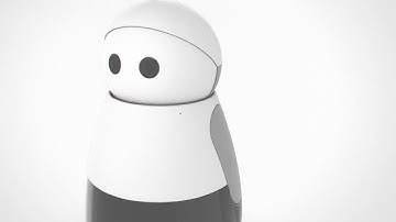 Can you believe this is actually a smart home robot?