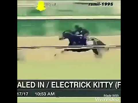 Самый быстрый лошадь в мире