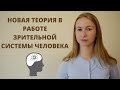 Новая теория функционирования зрения человека