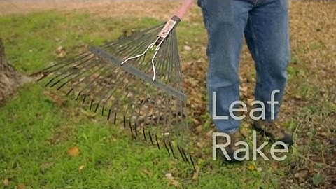 How to Use a Leaf Rake : Garden Tool Guides