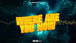 Lost Frequencies ft.  Calum Scott - Where Are You Now (KRASZ Bootleg)