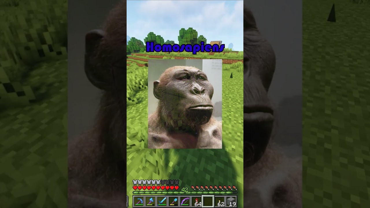 TeamTalus5 Unused Video