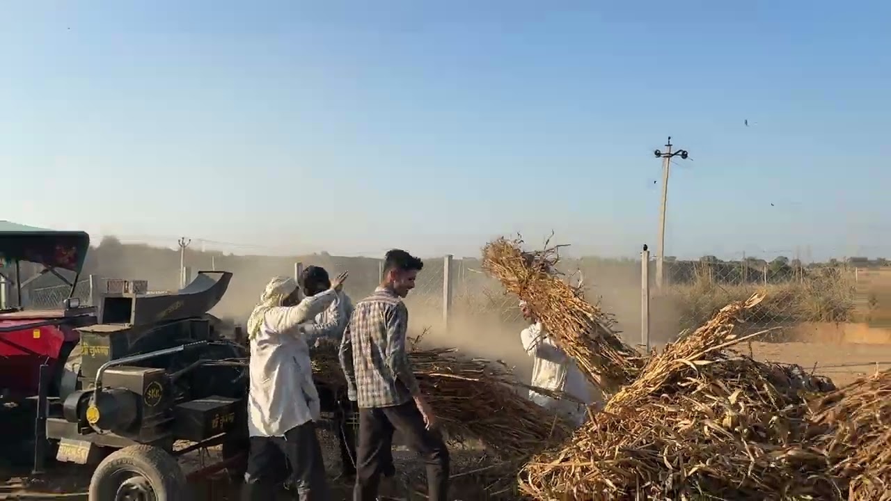 bajre ki kadp ktate huye 🤗🥰