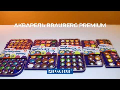 Video: Är NAPA Ultra Premium bromsbelägg bra?