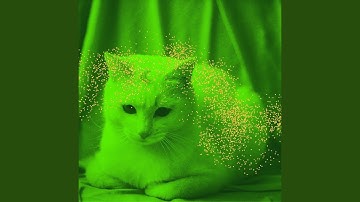 Pulsating Ambience for Comfy Cats