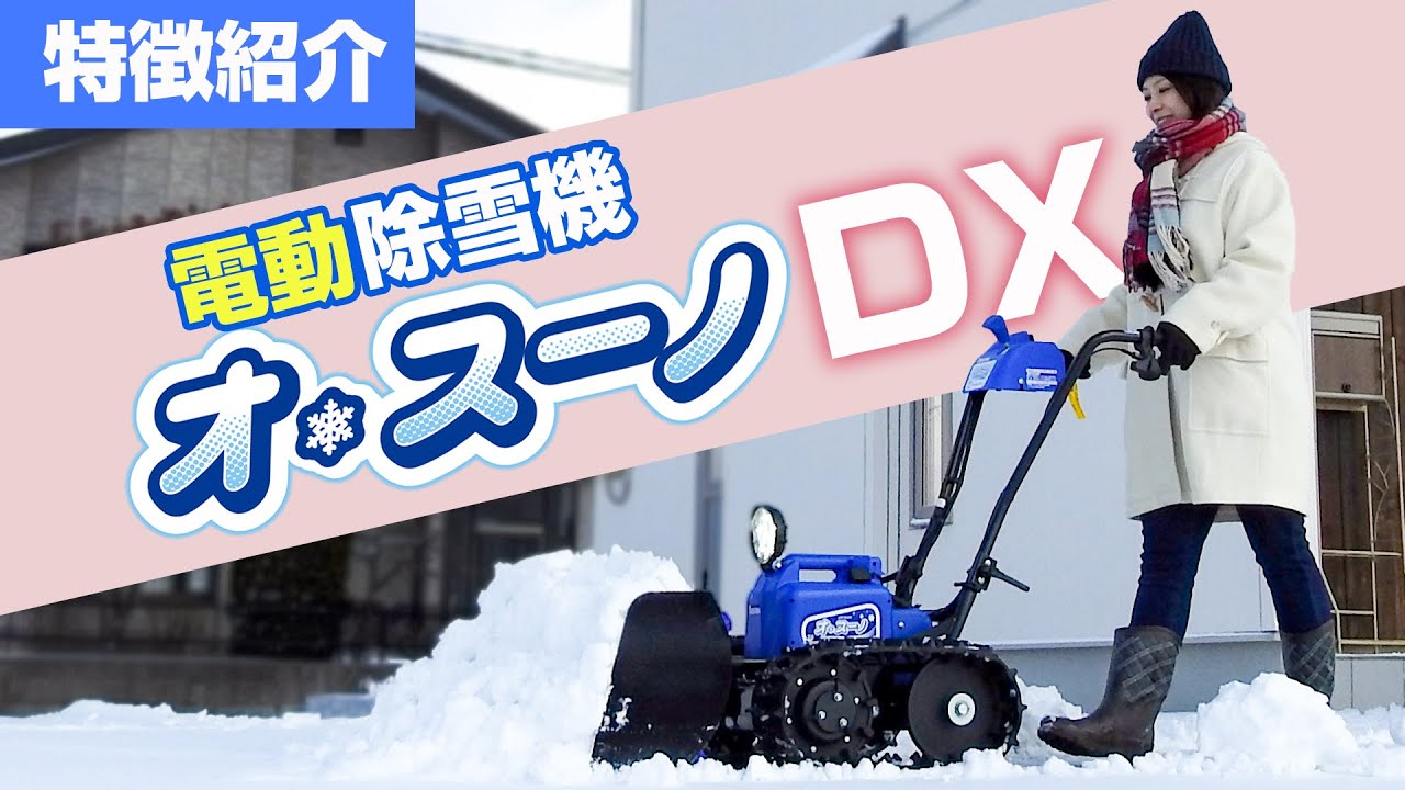 KAZ 電動除雪スコップ KT1020-R - その他