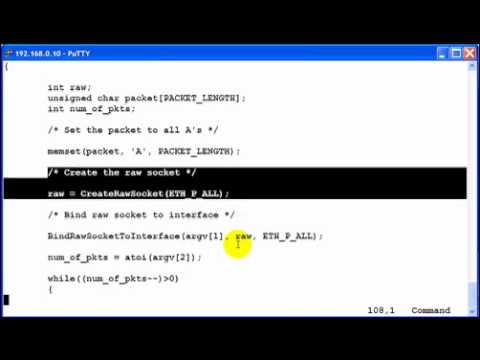 Generic-Packet-Injection-Program