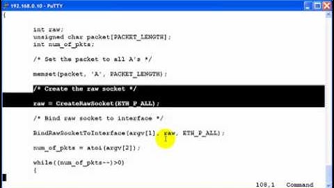 Generic-Packet-Injection-Program