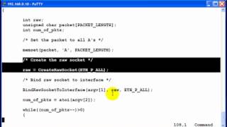 Generic-Packet-Injection-Program