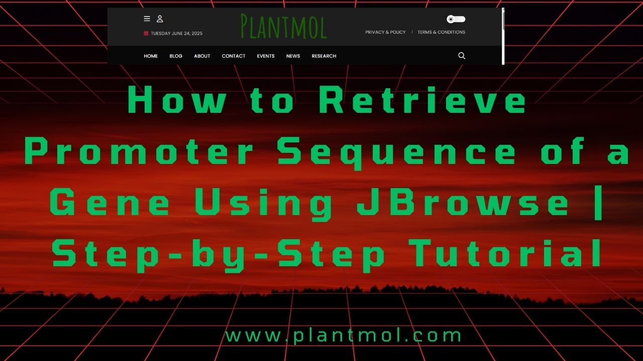 How to Retrieve Promoter Sequence of a Gene Using JBrowse | Step-by-Step Tutorial