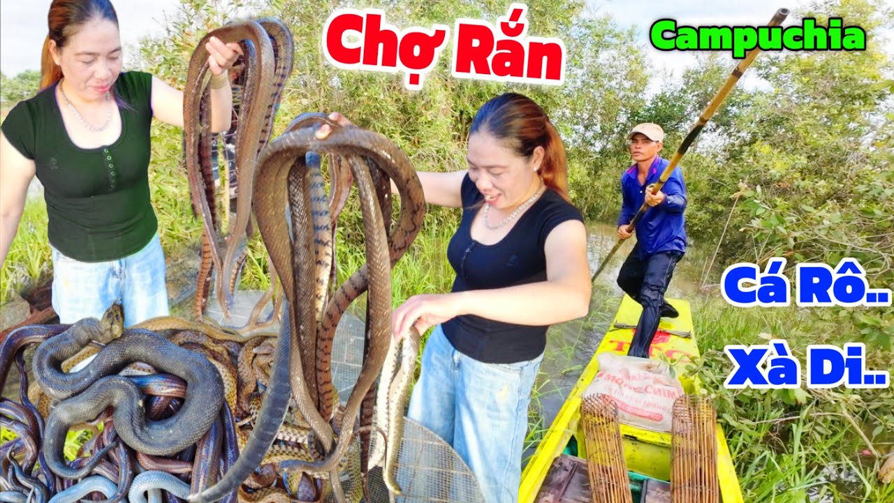 Thót tim CHỢ RẮN 