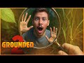 Live 🔴 Grounded 2 : Deeper Into Brookhollow #2