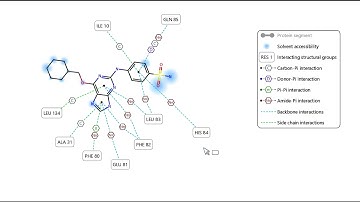 New dynamic layout in SAMSON