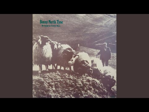 Obejrzyj The Wonder Hornpipe / Navvie on the Line w YouTube