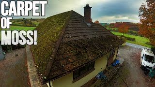 THE CRAZIEST ROOF I'VE EVER CLEANED!